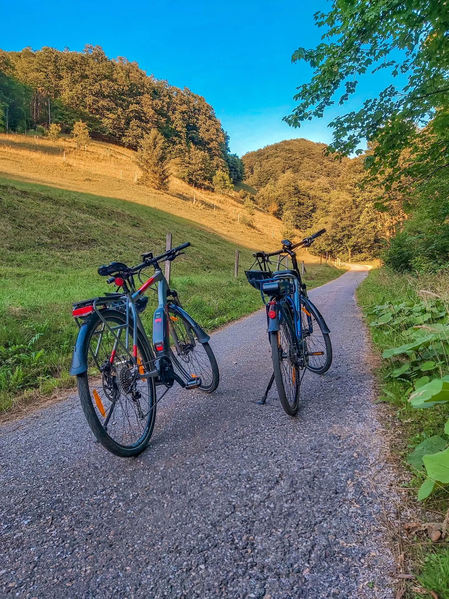 Two e-bikes parked on a gravel road through golden meadows at sunset.
